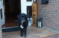 Haus am Wasser - Photo 21