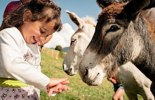 Agritur Darial - Photo 116