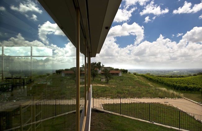 Cincinnato Wine Resort - Foto 18