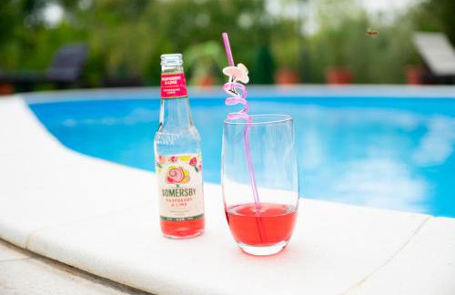 Villa Bistre - Foto 48