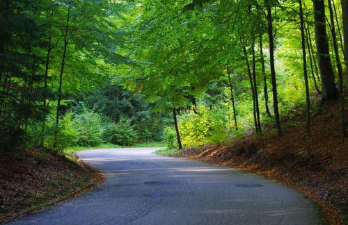 The hills at river - Foto 38