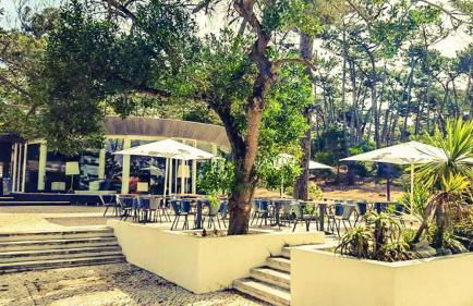 Golden Stone Beach Retreat - Foto 31