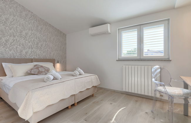 Salamander - Foto 59