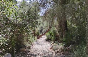 Apartamento L 'Altina a 40 metros de la playa - Foto 17