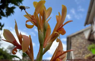 Costa Brava Paradís - Foto 42