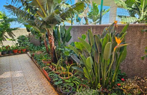 Casa de Feria do Livramento - Foto 53