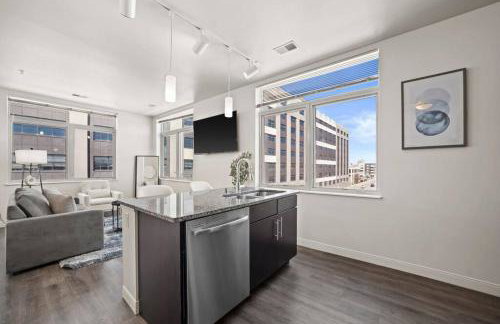 Studio View Of Downtown Near Lake Michigan Plaza Grey - Photo 13