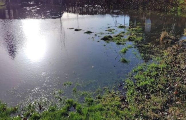 6 Person Holiday Home in Kolind - Photo 37