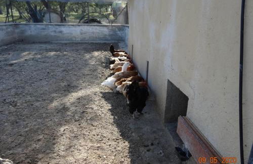 Agriturismo Fieri - Foto 29