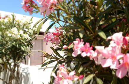 Little Loft PlayaBlanca - Photo 48