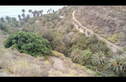 Villa in protected space in front of the sea - Foto 41