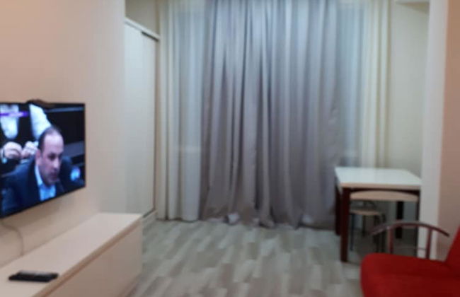 Samatsa Georgia Apartments - Foto 46