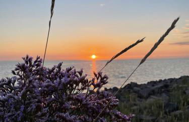 NEU! FeWo Flussland nähe SPO - Foto 29