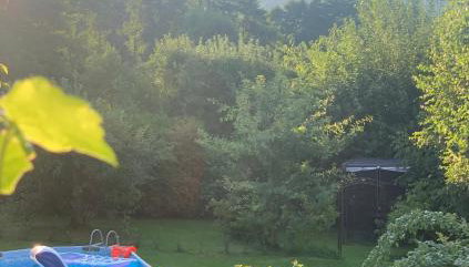 Apartament Słoneczny Świerkowa - Foto 2