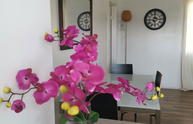 Luxy Hollywood - Foto 17