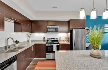 LUX 1B1B with Parking, Pool, Gym, Private Patio near Austin - Foto 14