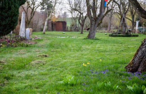 Goldhammer - Foto 26