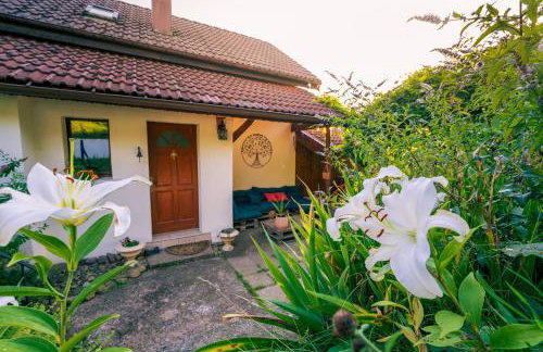 Home - Retour aux sources - Foto 4