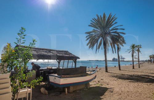 Bright Classic House Near La Malagueta REMS - Photo 39