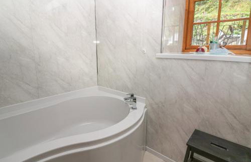 Felin Iago - Foto 12