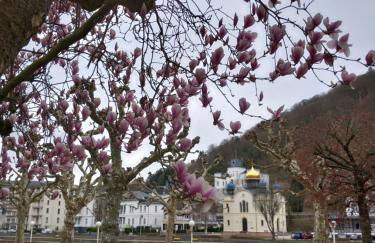 Ferienwohnung im roten Haus, die Therme ist fußläufig in 350m zu erreichen - Foto 40