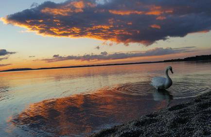 Beim Paulfischer - Eckbankerl - Foto 22