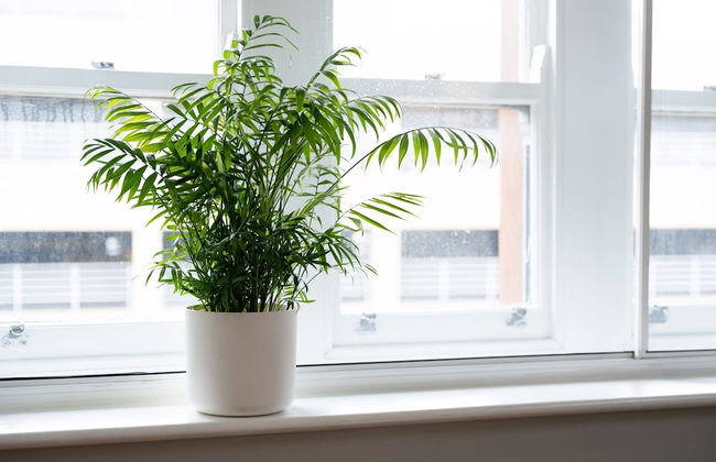 High Street Town House - Photo 76