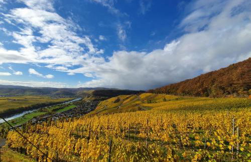 Haus Rosalinde - Photo 29