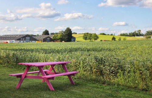 Cosy One Bed Barn Conversion Donington Park East Midlands Airport - Foto 34