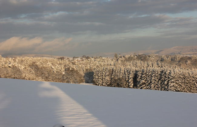 Group Stay With Pool, Chevron - Photo 39