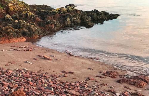 The Bungalow - Foto 16