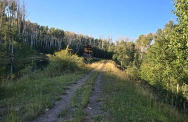 Camp Jackson Refuge all 6 sites - excludes host cabin - Foto 48