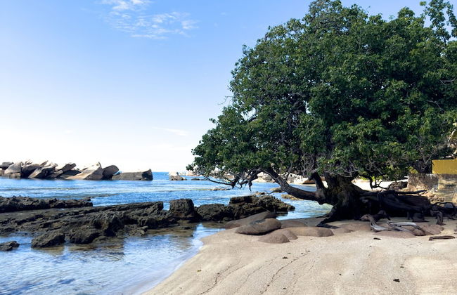 Sea Splash & La Petite Maison - Foto 77