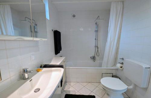 Bodensee - Palmen - Foto 18