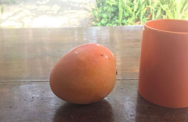 finca beach house and cabana - Foto 16