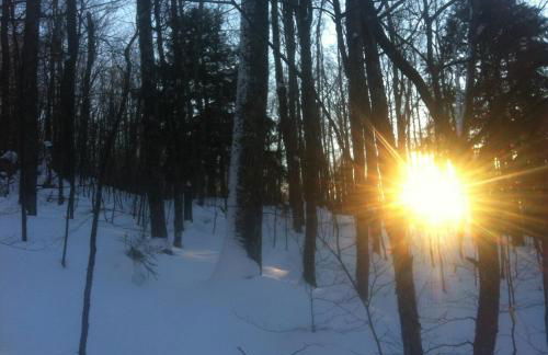 Meadow House Backcountry Residency - Foto 14