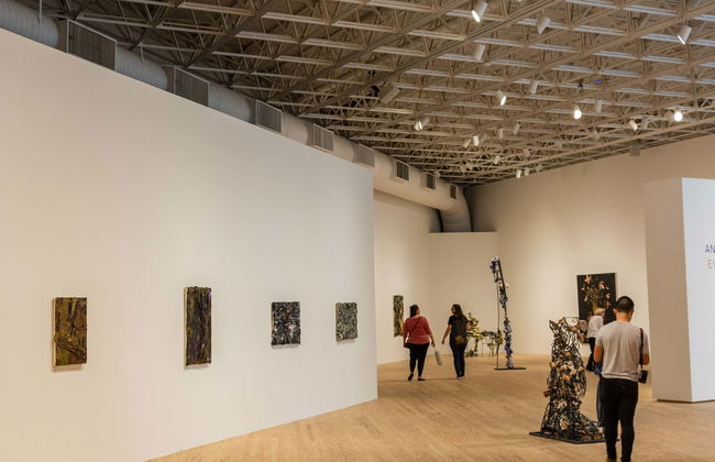 Houston Museum Pass - Foto 1