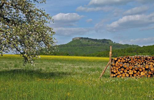 Ferienwohnung Haus Staffelbergblick - Foto 21