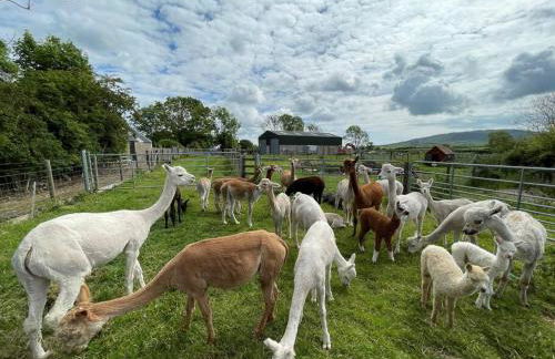 The Alpaca Farmhouse with hot tub and alpaca experience included - Foto 27