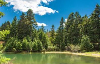 Maria GuestHouse - Foto 42