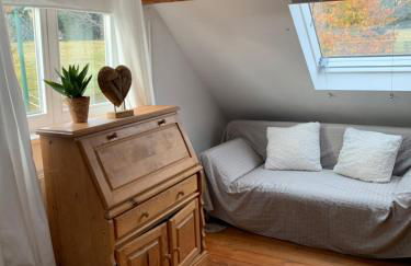 Ferienhaus Rennsteig-Wander-Mountainbike und Langlaufparadies - Foto 3