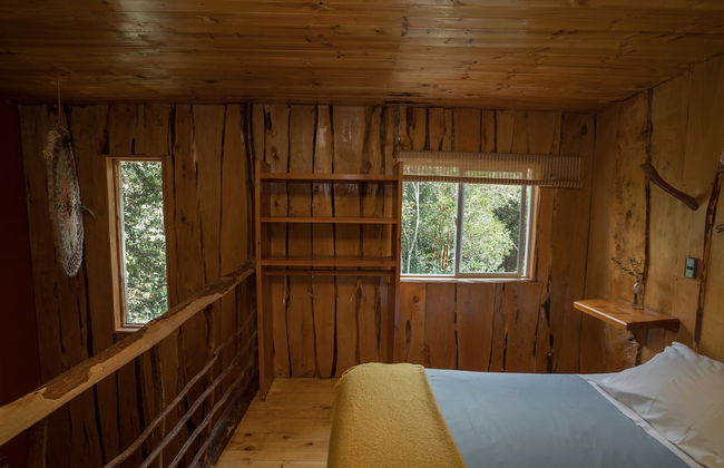 Cabañas Ensenada Bosque Nativo - Foto 12