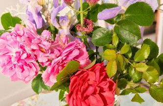 Gîte de charme, grand confort - Foto 33