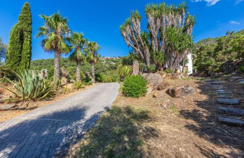 Casa Pájaro Colores in Bolonia - Foto 78