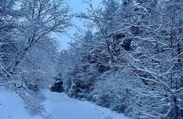 Chalet Leonard House in the wood - Foto 35