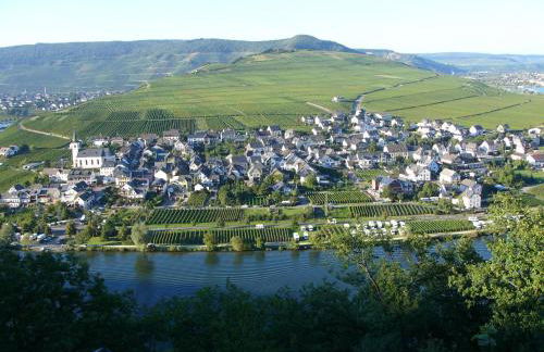 Ferienwohnung Weingut Thielen-Nilles - Foto 18