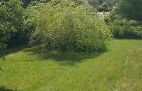 Maison RoMa, se ressourcer proche de Gerardmer et La Bresse - Foto 10