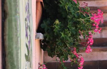 Agriturismo Case Tabarani - Foto 13