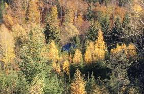 Ferienwohnung Eulennest - Foto 47