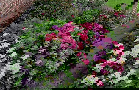 FRAULINDNERFerien - DZ Lüneburg - Foto 20